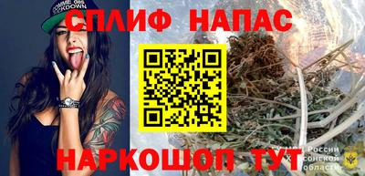 шишки Кингисепп