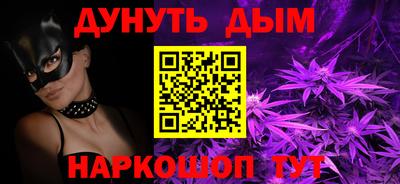 шишки Кингисепп