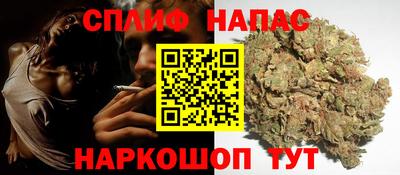 шишки Кингисепп