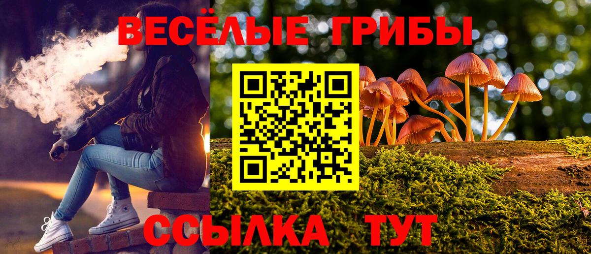 купить наркотики сайты  Вход с VPN  Крымск  Галлюциногенные грибы мицелий 