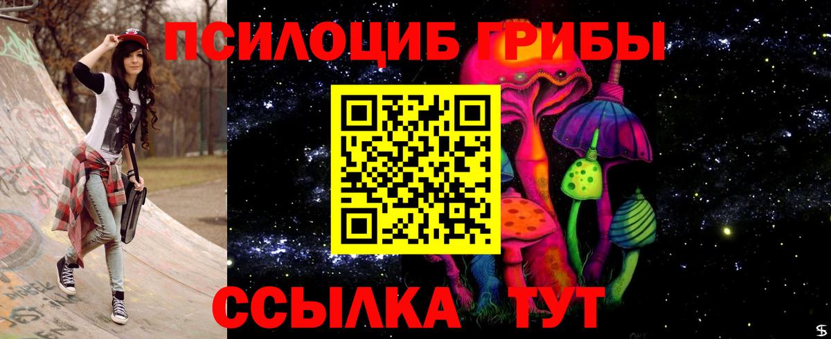 Псилоцибиновые грибы Cubensis Крымск
